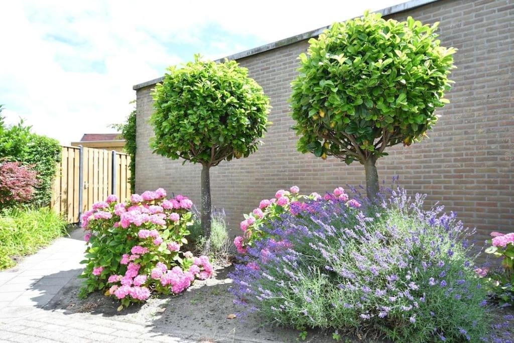 זאוטלנדה Vrijvakantiehuis Houtenburgseweg 2 מראה חיצוני תמונה